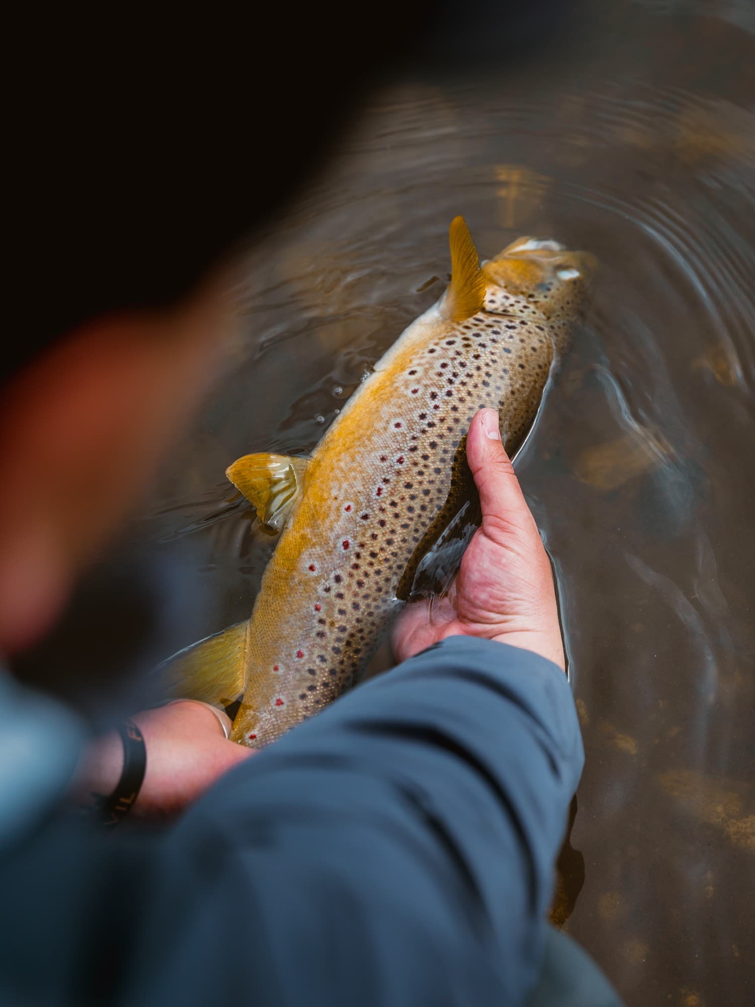 Half Day Float — Logjam Outfitters