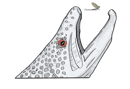 Logjam Outfitters