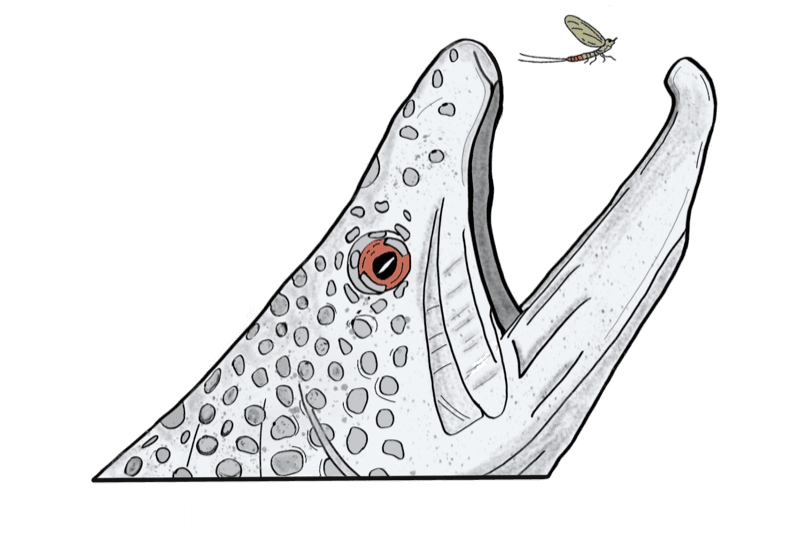 Log Jam Outfitters